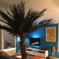 Preview: Palme Areca 2,5m